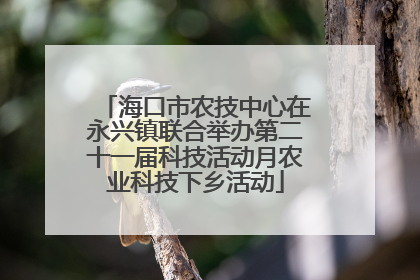 海口市农技中心在永兴镇联合举办第二十一届科技活动月农业科技下乡活动