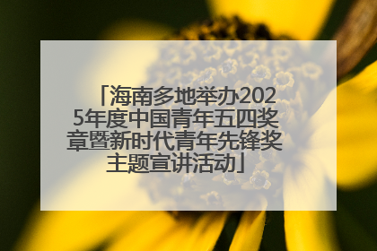 海南多地举办2025年度中国青年五四奖章暨新时代青年先锋奖主题宣讲活动