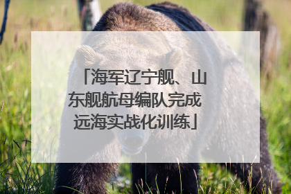 海军辽宁舰、山东舰航母编队完成远海实战化训练