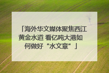 海外华文媒体聚焦西江黄金水道 看亿吨大港如何做好“水文章”