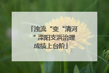 浊流“变“清河“ 溧阳支浜治理成绩上台阶