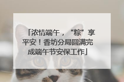 浓情端午，“粽”享平安！香坊分局圆满完成端午节安保工作