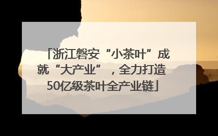 浙江磐安“小茶叶”成就“大产业”，全力打造50亿级茶叶全产业链