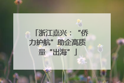 浙江嘉兴：“侨力护航”助企高质量“出海”