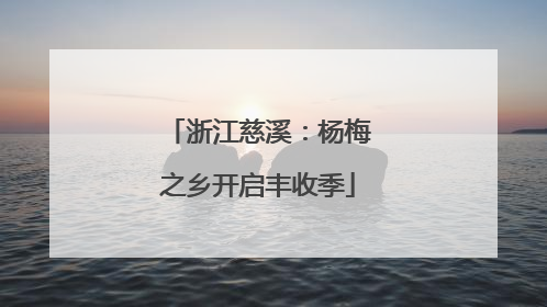 浙江慈溪：杨梅之乡开启丰收季