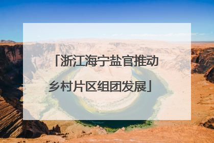 浙江海宁盐官推动乡村片区组团发展