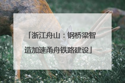 浙江舟山：钢桥梁智造加速甬舟铁路建设