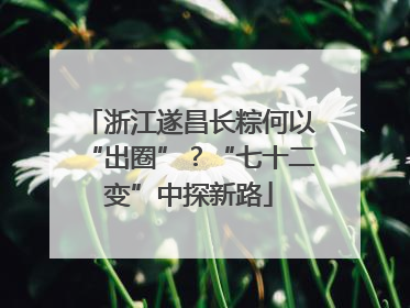 浙江遂昌长粽何以“出圈”？“七十二变”中探新路