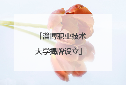淄博职业技术大学揭牌设立