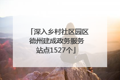 深入乡村社区园区 德州建成政务服务站点1527个