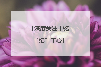 深度关注丨铭“纪”于心