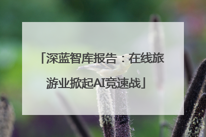 深蓝智库报告：在线旅游业掀起AI竞速战