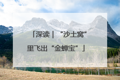 深读｜“沙土窝”里飞出“金蝉宝”