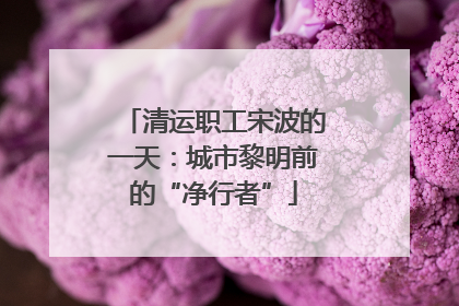 清运职工宋波的一天：城市黎明前的“净行者”