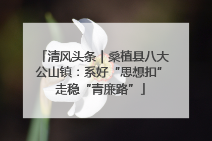 清风头条｜桑植县八大公山镇：系好“思想扣” 走稳“青廉路”