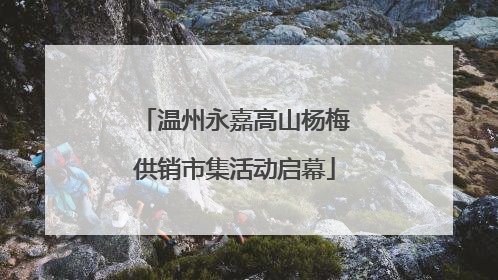 温州永嘉高山杨梅供销市集活动启幕
