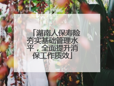 湖南人保寿险夯实基础管理水平，全面提升消保工作质效