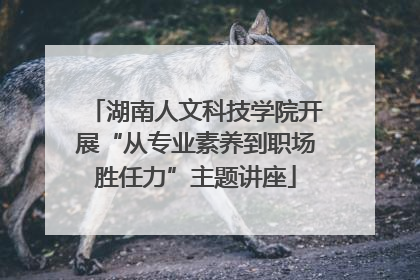 湖南人文科技学院开展“从专业素养到职场胜任力”主题讲座