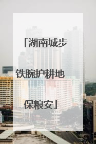 湖南城步铁腕护耕地保粮安