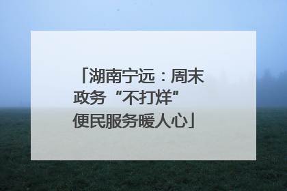 湖南宁远：周末政务“不打烊” 便民服务暖人心