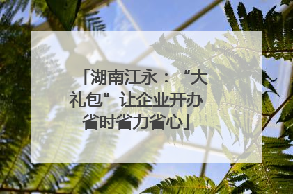 湖南江永：“大礼包”让企业开办省时省力省心