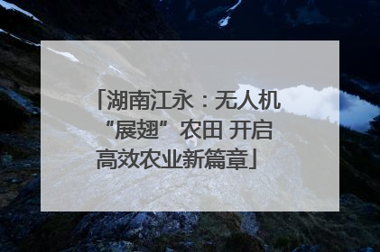 湖南江永：无人机“展翅”农田 开启高效农业新篇章