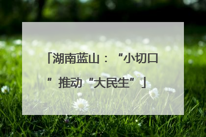 湖南蓝山：“小切口”推动“大民生”