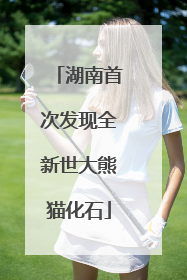 湖南首次发现全新世大熊猫化石