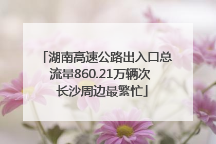 湖南高速公路出入口总流量860.21万辆次 长沙周边最繁忙