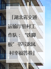 湖北省交通运输厅驻村工作队：“铁脚板”书写龙凤村幸福答卷