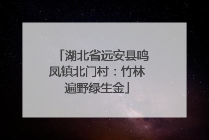 湖北省远安县鸣凤镇北门村：竹林遍野绿生金