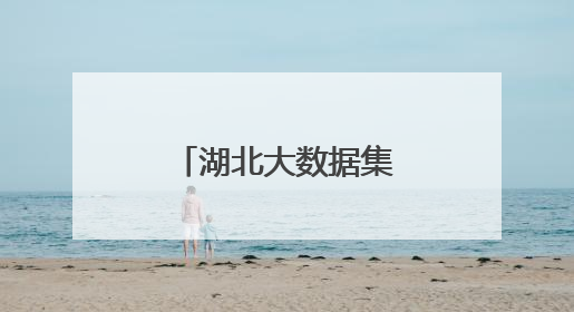 湖北大数据集团正式成立