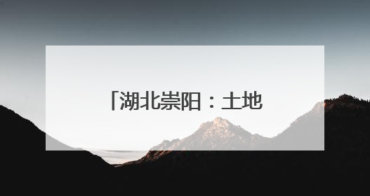 湖北崇阳：土地“破局”绘新卷 山乡巨变绽芳华
