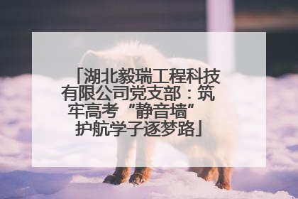 湖北毅瑞工程科技有限公司党支部：筑牢高考“静音墙” 护航学子逐梦路