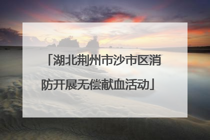 湖北荆州市沙市区消防开展无偿献血活动