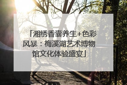 湘绣香囊养生+色彩风暴：梅溪湖艺术博物馆文化体验盛宴