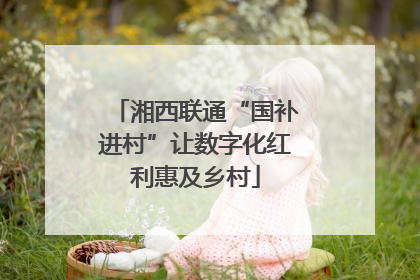 湘西联通“国补进村”让数字化红利惠及乡村