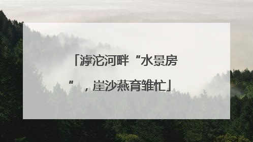 滹沱河畔“水景房”，崖沙燕育雏忙