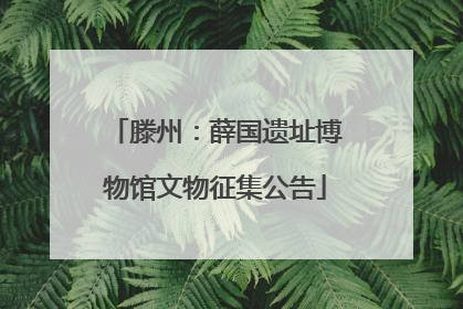 滕州：薛国遗址博物馆文物征集公告