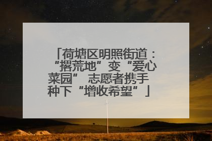 荷塘区明照街道：“撂荒地”变“爱心菜园” 志愿者携手种下“增收希望”