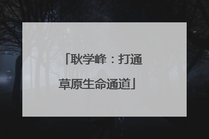 耿学峰：打通草原生命通道