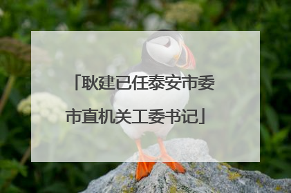 耿建已任泰安市委市直机关工委书记
