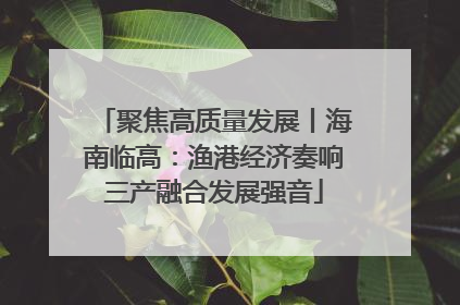 聚焦高质量发展丨海南临高：渔港经济奏响三产融合发展强音