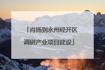 肖扬到永州经开区调研产业项目建设