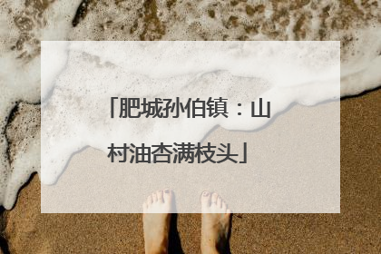 肥城孙伯镇：山村油杏满枝头