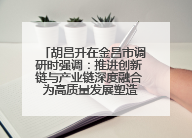 胡昌升在金昌市调研时强调：推进创新链与产业链深度融合 为高质量发展塑造新动能新优势