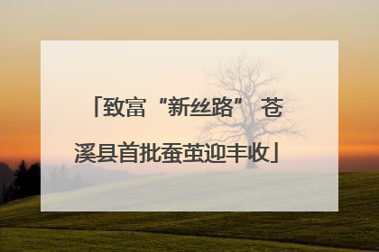 致富“新丝路” 苍溪县首批蚕茧迎丰收