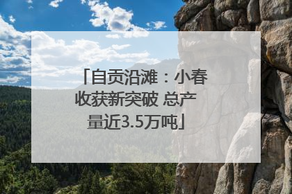 自贡沿滩：小春收获新突破 总产量近3.5万吨