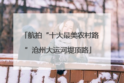 航拍“十大最美农村路”沧州大运河堤顶路