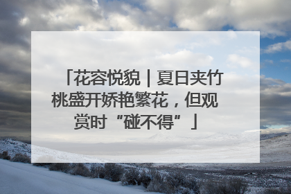 花容悦貌｜夏日夹竹桃盛开娇艳繁花，但观赏时“碰不得”